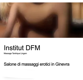 istitut dfm istitut dfm