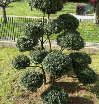 img_3790.jpeg img_3790.jpeg