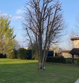img_1867.jpeg img_1867.jpeg