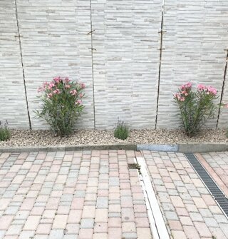 img_4458.jpeg img_4458.jpeg