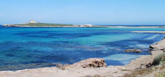 0af818d2-f4e1-4820-a756-92ab290eb42d 0af818d2-f4e1-4820-a756-92ab290eb42d