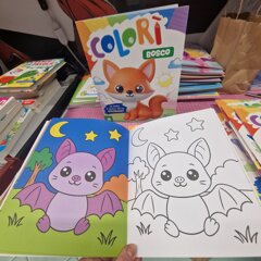 whatsapp image 2026-02-19 at 18.41.25.jpeg