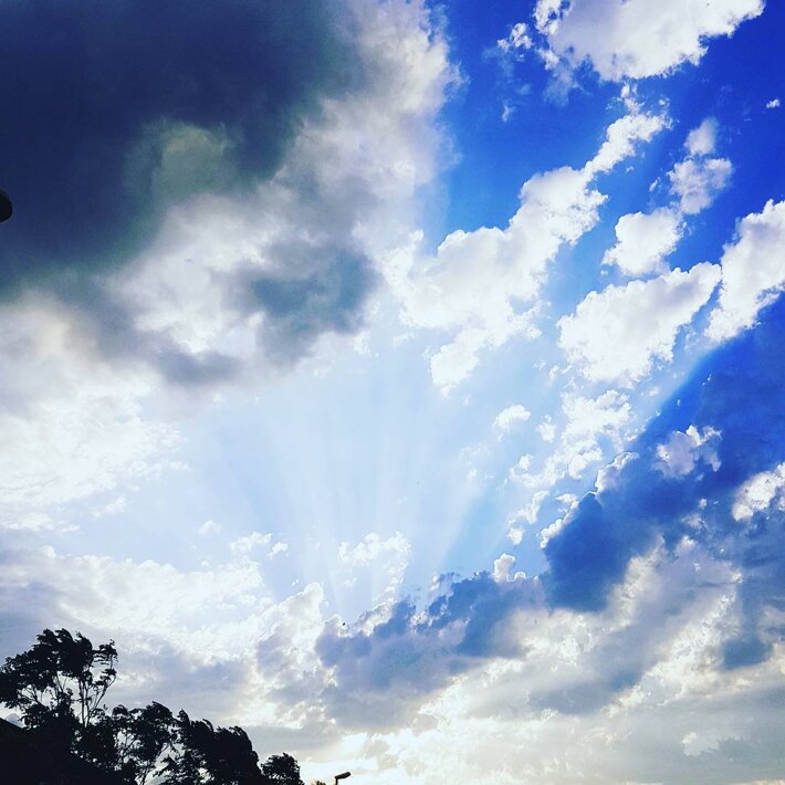 a377c9af-b9b3-4907-a280-09cdb1f07623 a377c9af-b9b3-4907-a280-09cdb1f07623