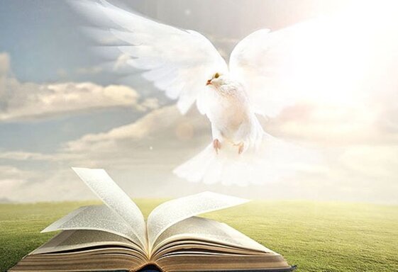 d0ffc9f0-949c-4b33-9cf2-13a3afd5ff8b