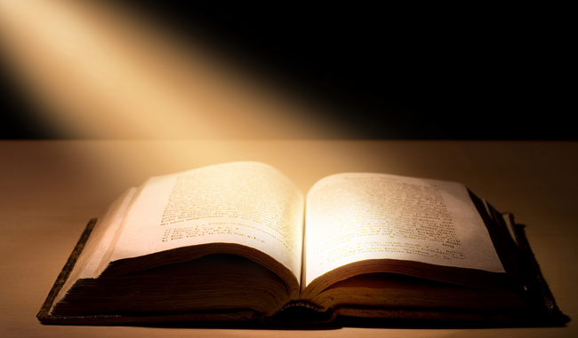 1ab9d0d2-a2ba-4b9e-8b27-cbcda229026b