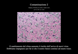 04f7ae5d-3a9b-4409-911d-734a29be61e5