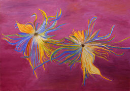 96c10021-aab0-42dc-8533-9e515122cd8a 96c10021-aab0-42dc-8533-9e515122cd8a