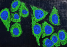 e61f7bc4-db39-44ef-92cb-b97d7ffb9fe7 e61f7bc4-db39-44ef-92cb-b97d7ffb9fe7