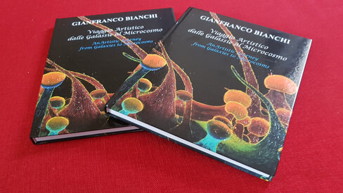 6ba8c5e5-fd9e-4487-a535-00bf706e81e0