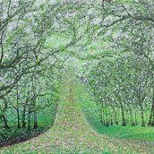 96eff3d6-5aab-46e1-ad74-597517a5fda6 96eff3d6-5aab-46e1-ad74-597517a5fda6