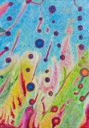 66b9ab87-7156-4b6a-9530-78b5d2d10e64 66b9ab87-7156-4b6a-9530-78b5d2d10e64