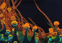 661155a2-b98f-4a5b-ae20-fe478fc765c5 661155a2-b98f-4a5b-ae20-fe478fc765c5