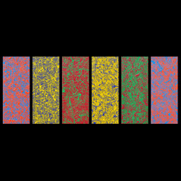 beb32edc-2fd9-4c6c-94c9-ea0dd58d0ea1