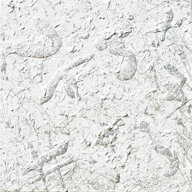 426ef30c-5dfd-4695-b659-3793e6e5183c 426ef30c-5dfd-4695-b659-3793e6e5183c