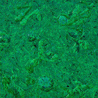 4529f64f-784d-4032-a0f2-c0a844e253cc 4529f64f-784d-4032-a0f2-c0a844e253cc