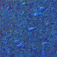 af4eea77-7968-4ee7-8da7-f5ebf2f0d00f af4eea77-7968-4ee7-8da7-f5ebf2f0d00f