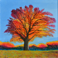 19c206af-a5cf-4d5a-acd4-12dc79d0a910 19c206af-a5cf-4d5a-acd4-12dc79d0a910