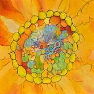 ed630269-8aef-412e-a68a-bf4a526ebe57 ed630269-8aef-412e-a68a-bf4a526ebe57