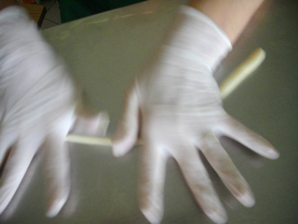 diapositiva1_10