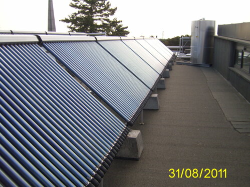 713f311d-8a88-46d3-a358-be4d4a245651