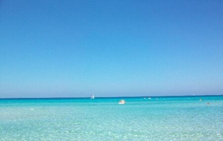 7fc2edcc-35eb-4ed2-8385-b2ad68a9b698