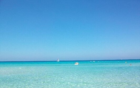 7fc2edcc-35eb-4ed2-8385-b2ad68a9b698