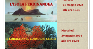 33191_c1d401ea3e6075549fbdc1d0184cadb853d7961d