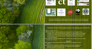 33191_d2fd4b0a1a2473f43b86964acff2baf36d84c853