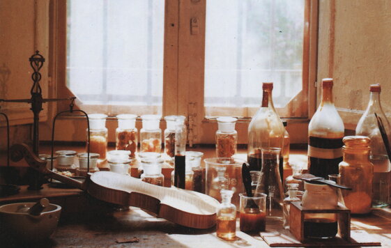 5f6e8a00-c50a-4590-bec0-bba3c06262db