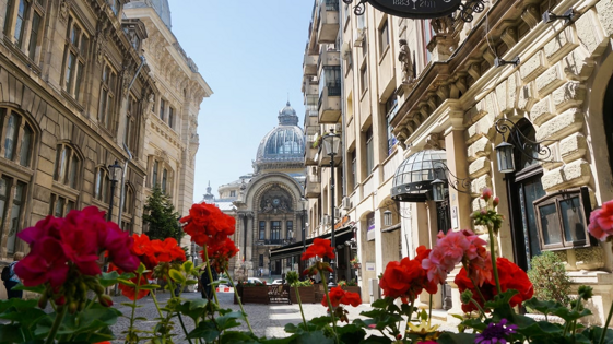 9f177e81-0c1b-42f7-90a6-16a113a14cd0