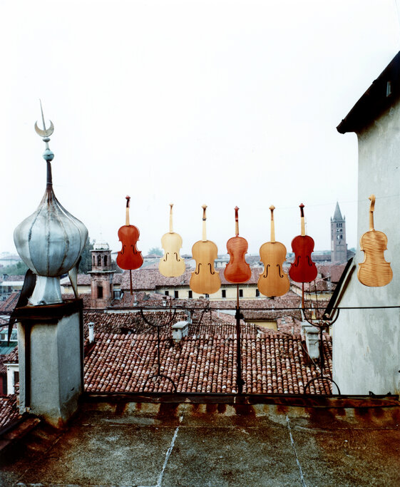 cca11763-f50e-4028-99e7-dd1a495352d7