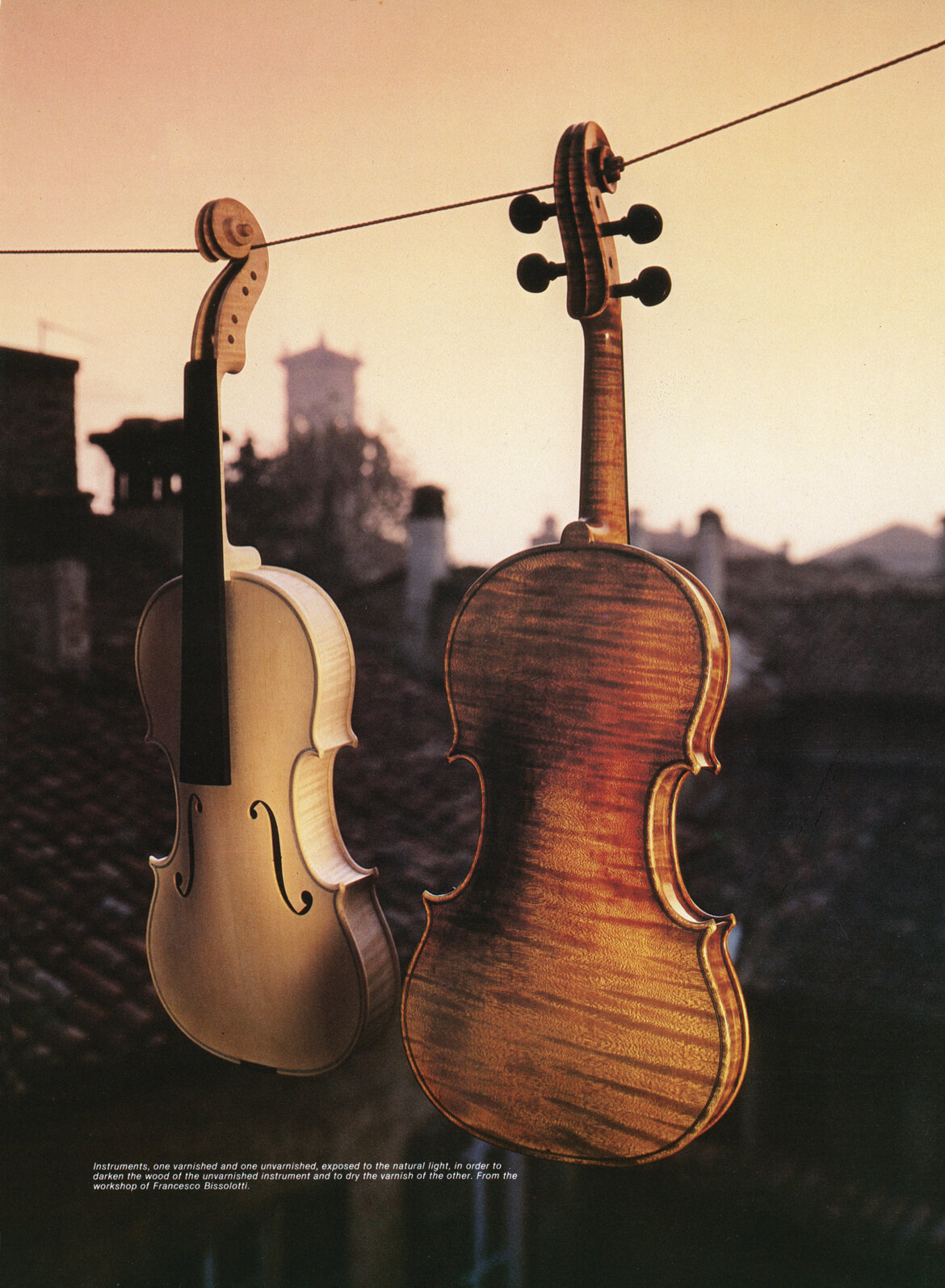 fc82642c-603f-44ec-bc6a-bfc78afa131c