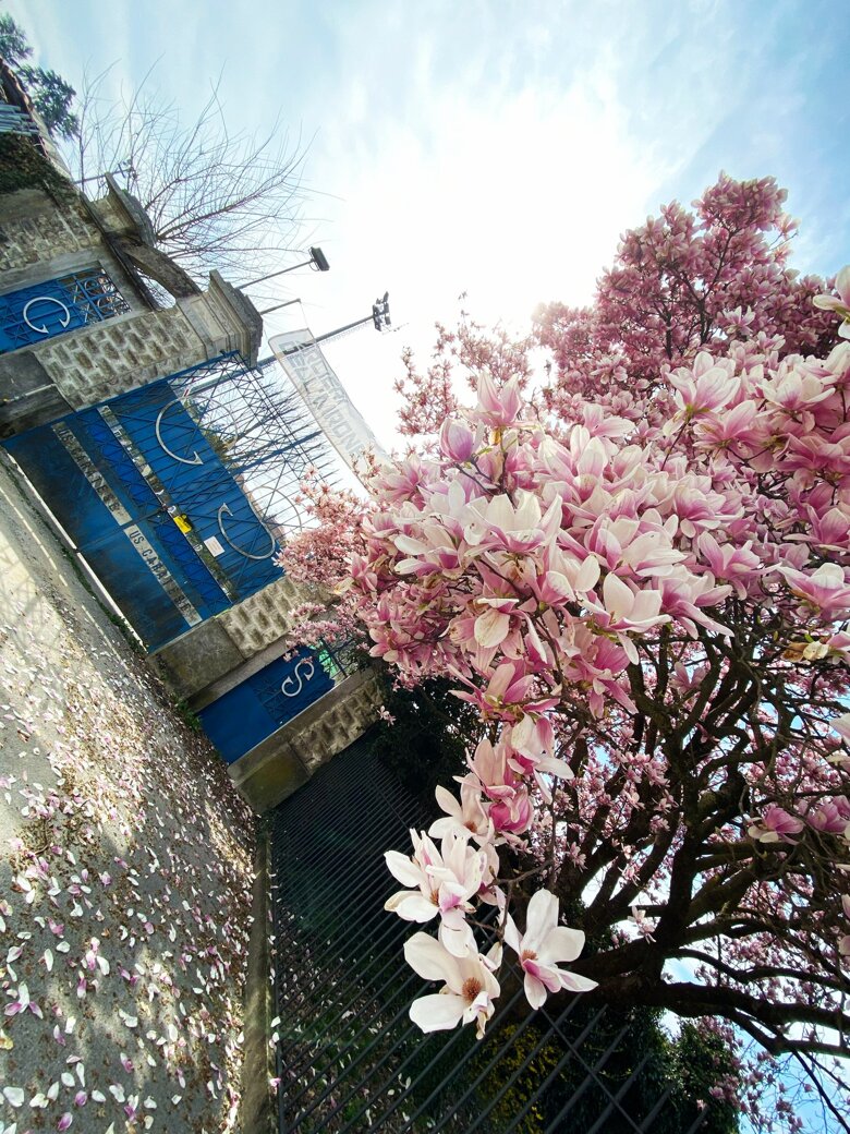 8b42b85d-43a7-4811-b2e8-88f3689d3dfb