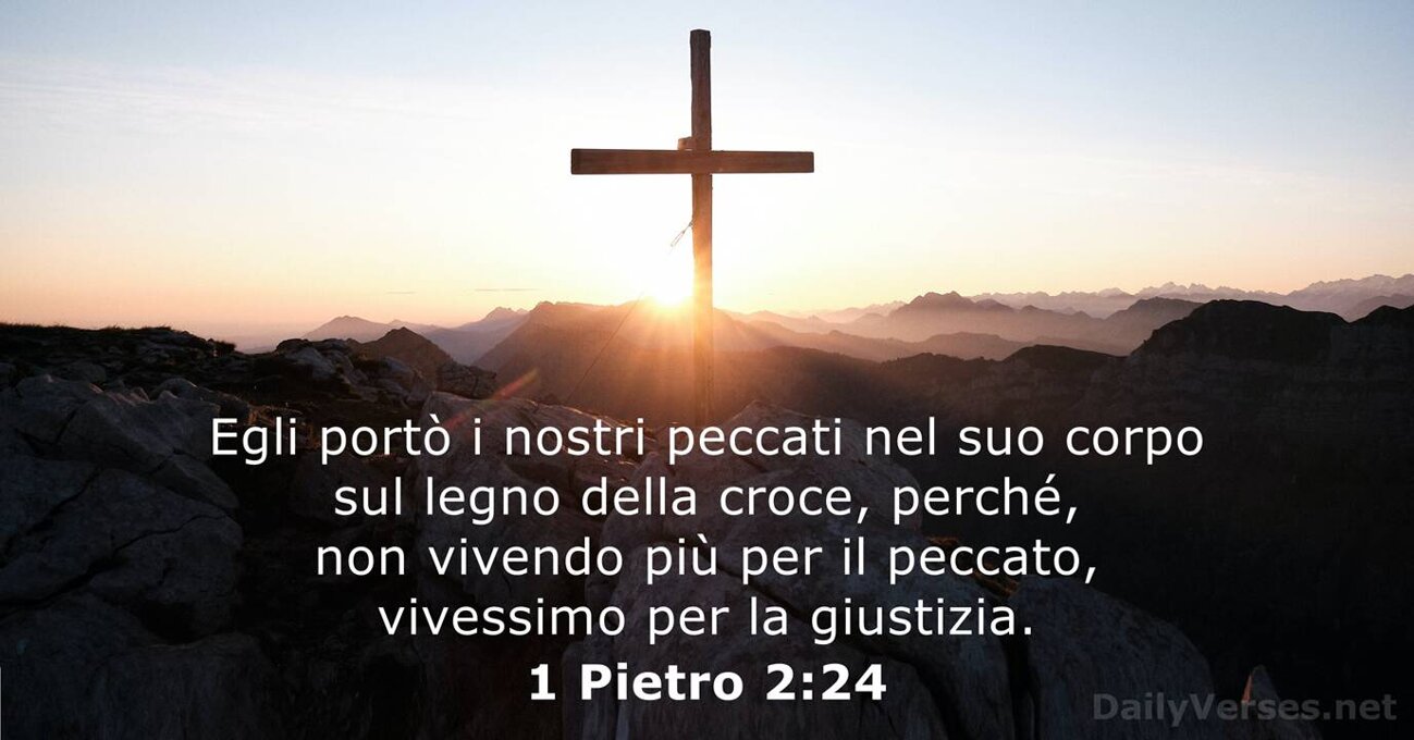 8181cc77-b203-45a7-9d74-4155f4b16cd9