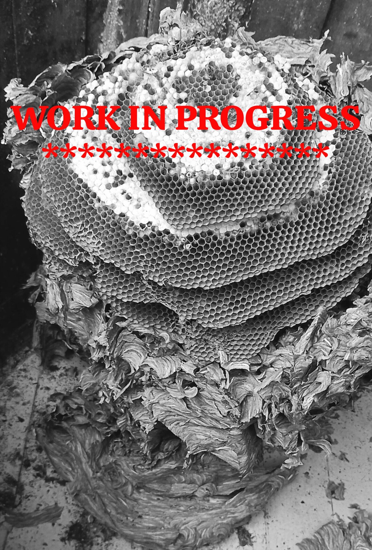 3ca53246-e5ad-469c-a870-b5970f0f634c 3ca53246-e5ad-469c-a870-b5970f0f634c