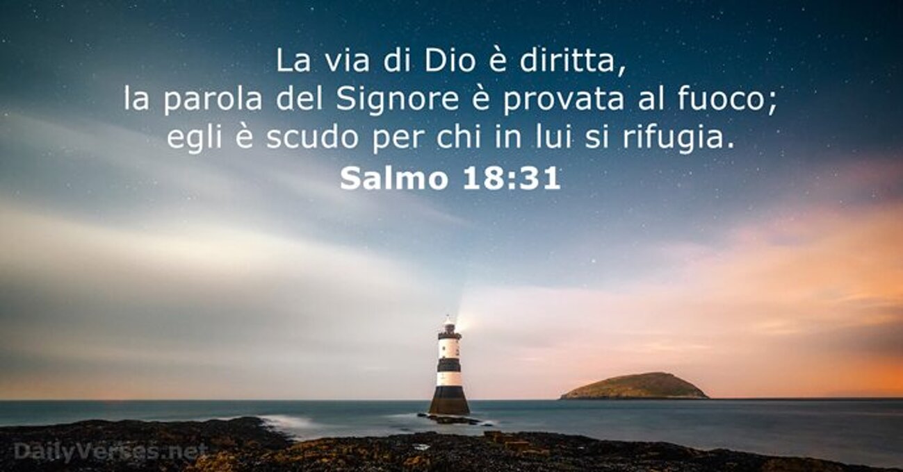 4f0304c5-30e4-4b7e-85fd-a158f78f9c7d