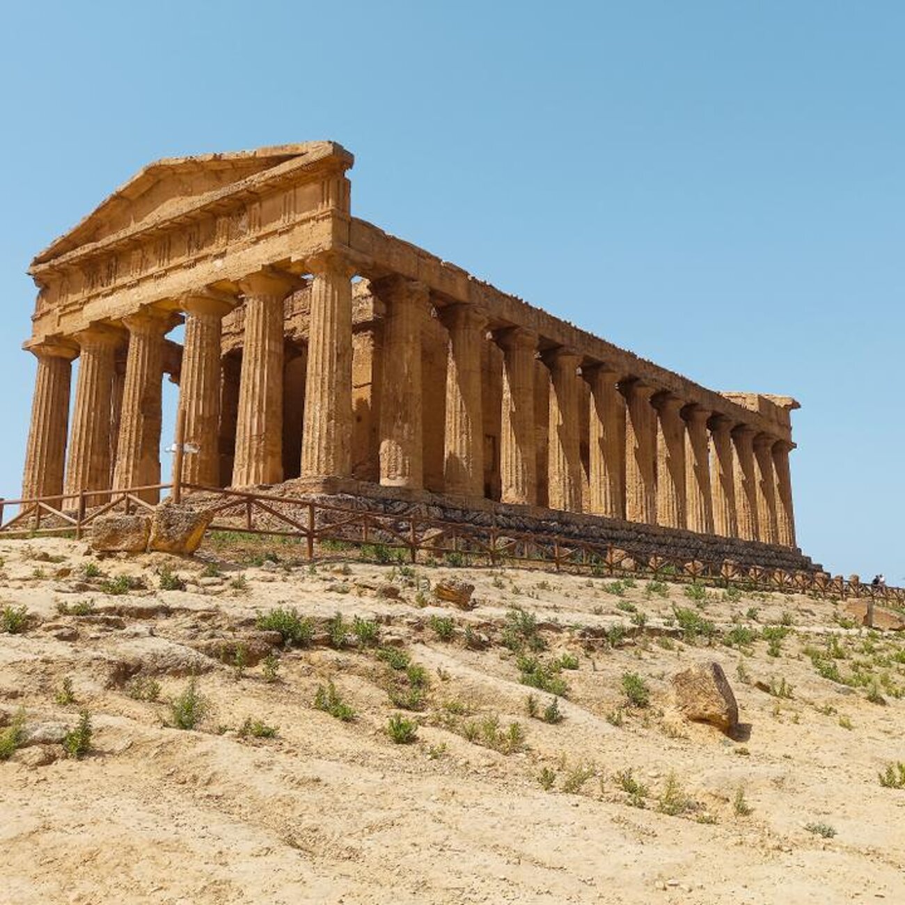 a8d89f72-7d51-46ec-895d-3b08674f71f8.jpeg a8d89f72-7d51-46ec-895d-3b08674f71f8.jpeg