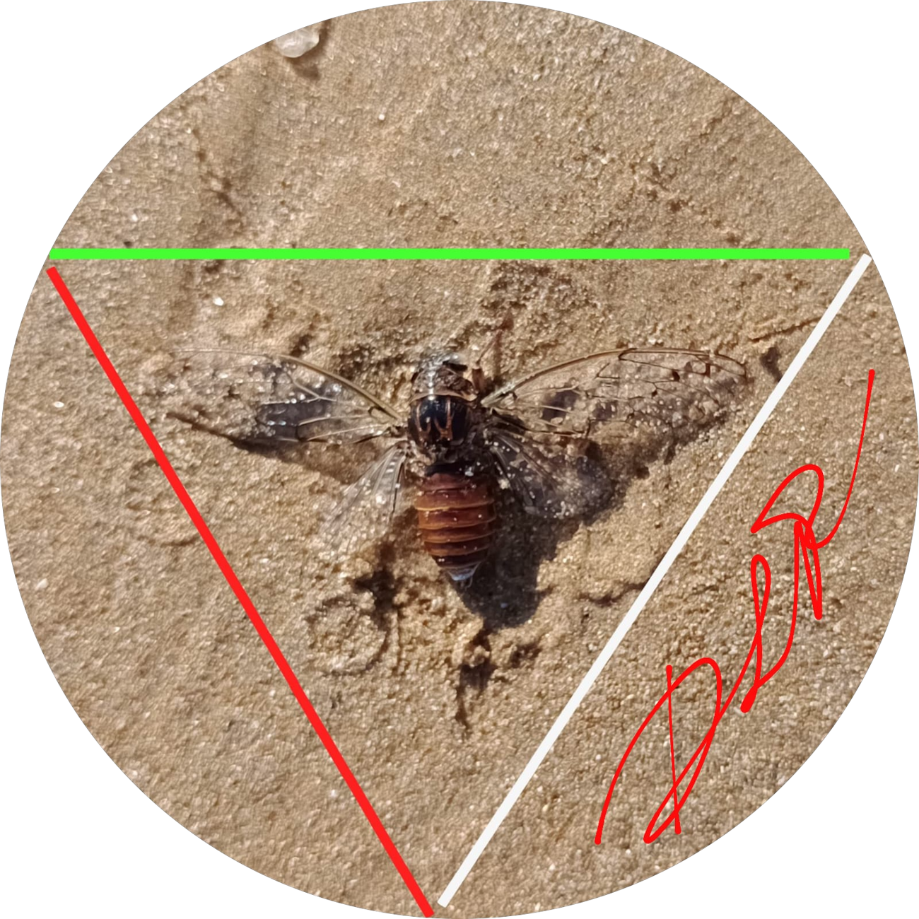 cabf5677-59a8-4861-bfa0-5955f18e355f cabf5677-59a8-4861-bfa0-5955f18e355f