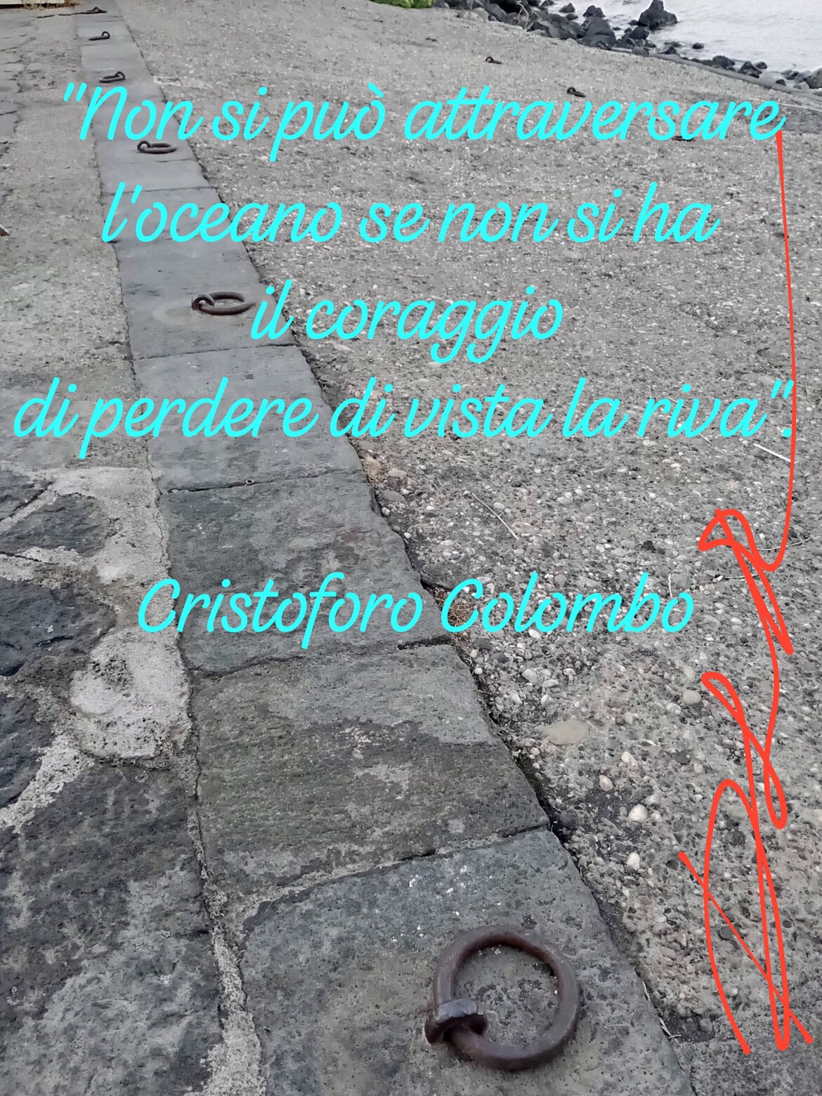 a956e89a-2988-46a3-ba06-e927902044f6