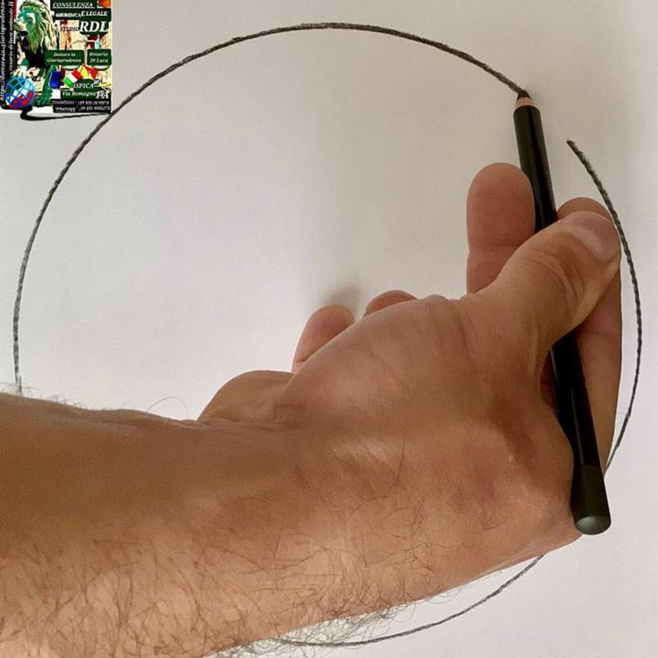 6b36d51c-4a87-4f15-878b-43b706093966