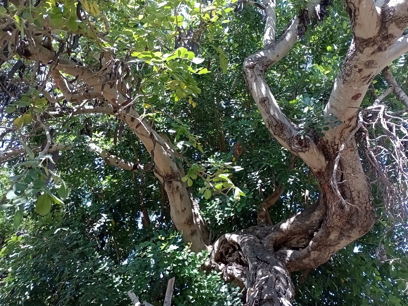 8e5db133-ac32-4eca-8afd-29754c13decd 8e5db133-ac32-4eca-8afd-29754c13decd