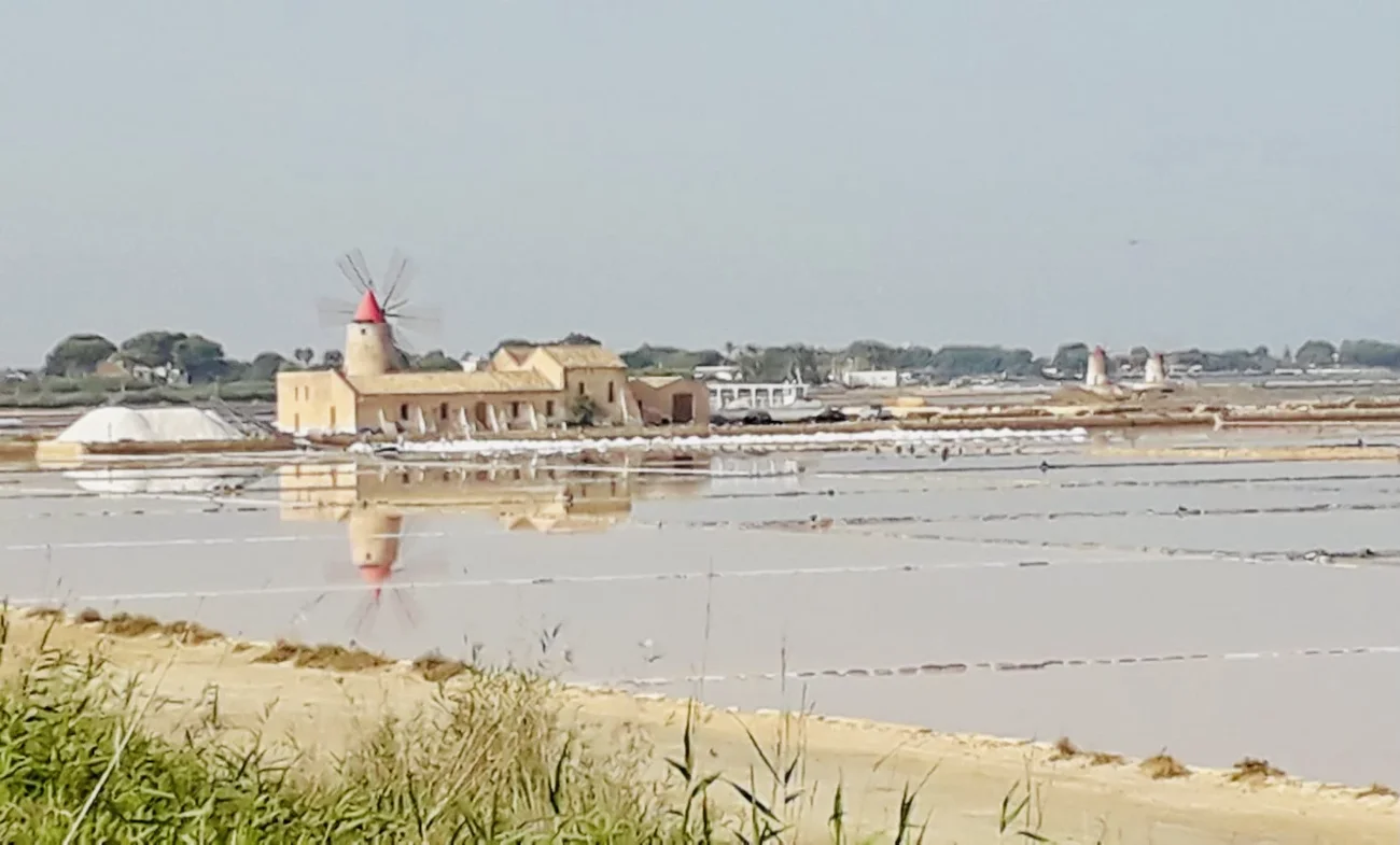 646ecefe-b61c-4b2b-b063-8e7750ea0af8 646ecefe-b61c-4b2b-b063-8e7750ea0af8