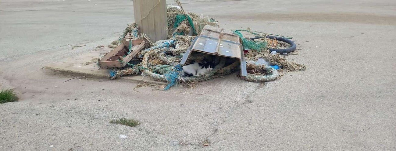 809ef7ca-ce1b-45d9-a7aa-b294b60c60eb 809ef7ca-ce1b-45d9-a7aa-b294b60c60eb