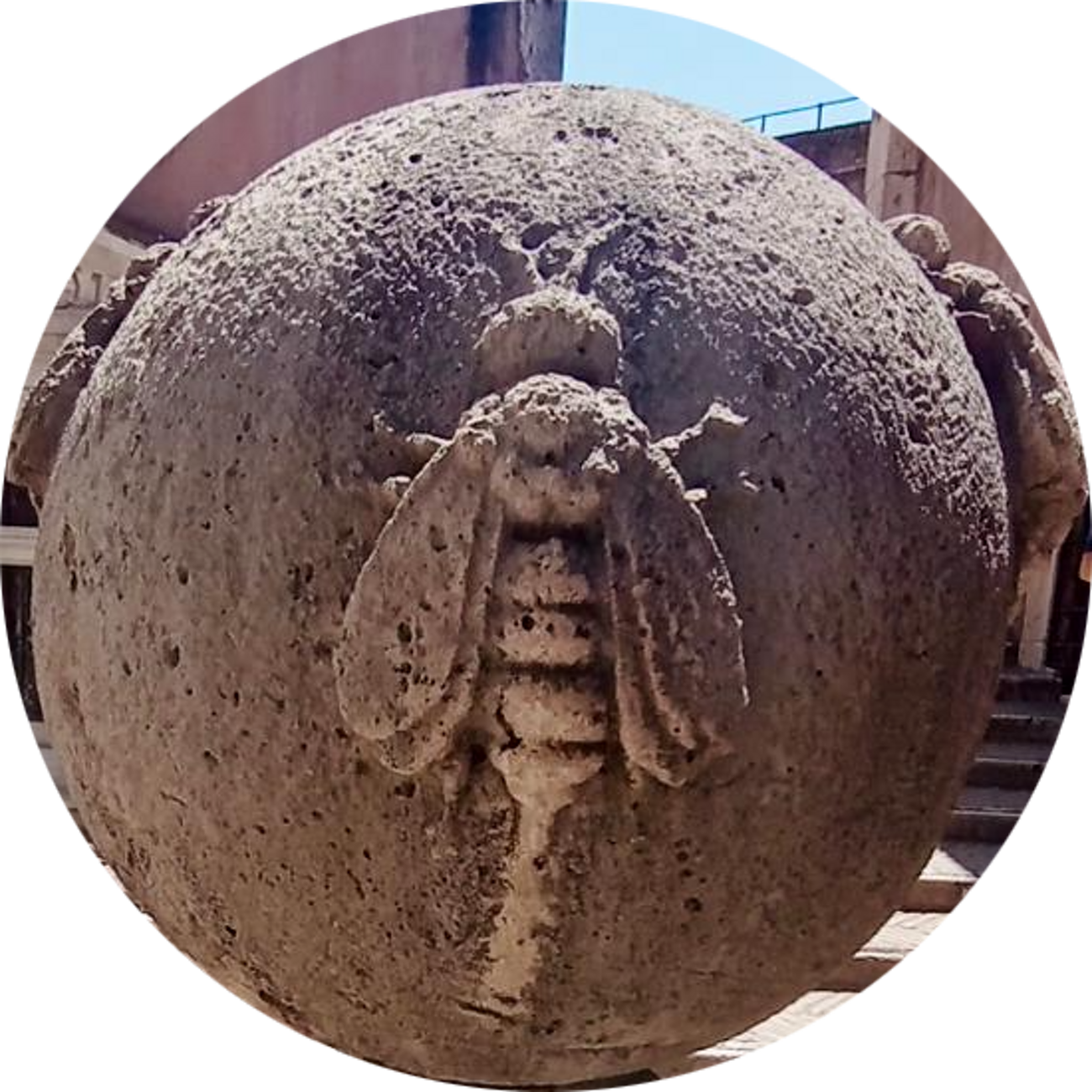 d25e0e54-bf3e-44bf-8a28-c2e185dfdf99