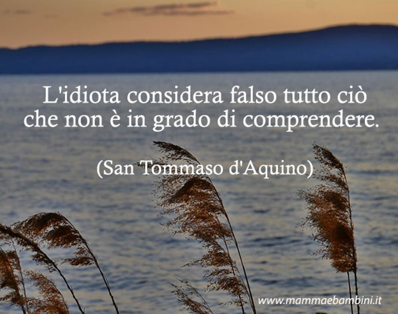 8a9cf45d-050e-4f47-b643-eb204d450eeb 8a9cf45d-050e-4f47-b643-eb204d450eeb