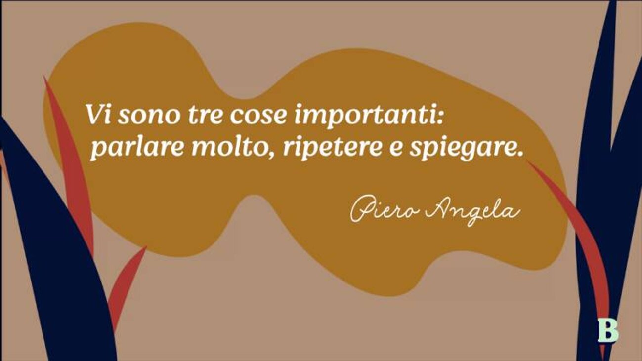 88c5f2a3-9028-498c-b6e4-57585656f5a5 88c5f2a3-9028-498c-b6e4-57585656f5a5