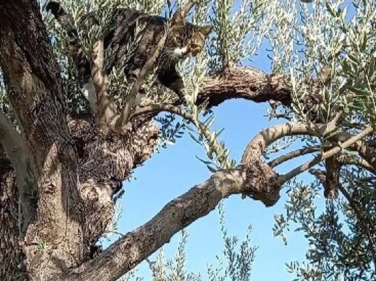 332bfa16-9541-4ca4-90f5-ec1e6f289444.jpeg 332bfa16-9541-4ca4-90f5-ec1e6f289444.jpeg