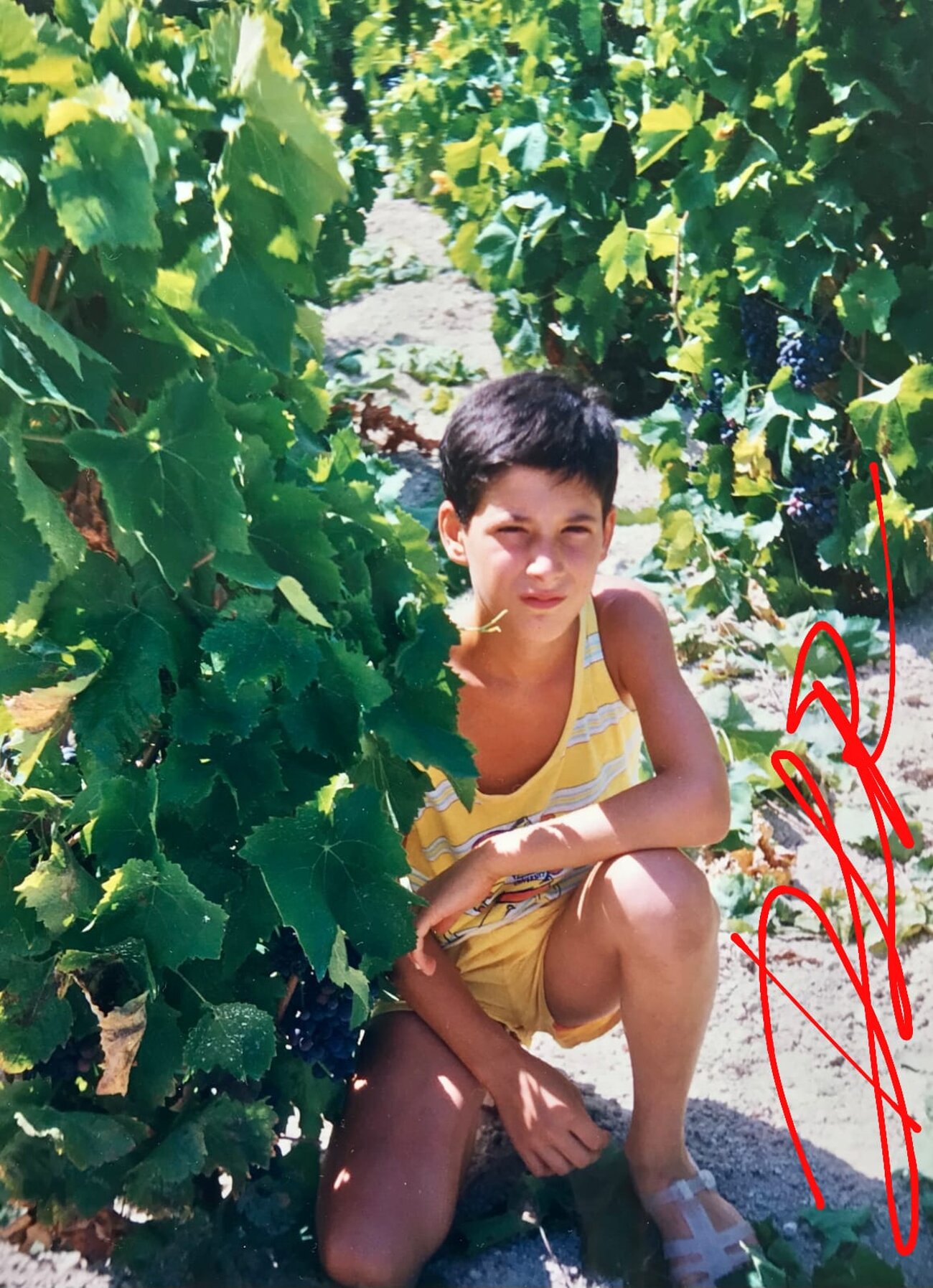 c4797a08-627b-4cfd-9006-6052083296ae