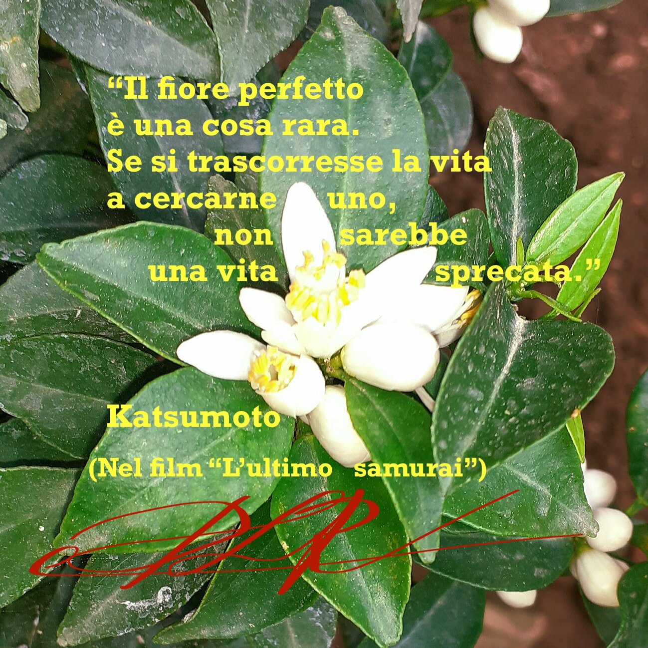 2321e277-9e3f-4152-bae3-dec69fa539e0 2321e277-9e3f-4152-bae3-dec69fa539e0