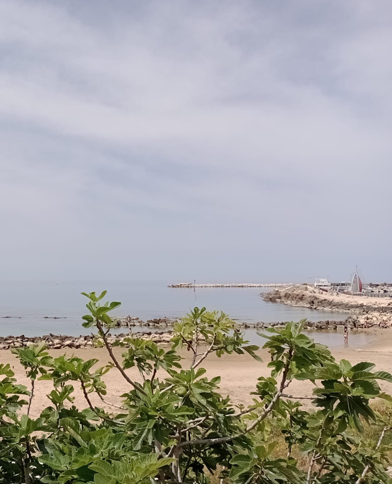 84ae9113-9d54-49d6-9296-78acfc565c7a